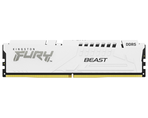 KINGSTON DIMM DDR5 16GB 6000MT/s KF560C36BWE-16 FURY Beast White EXPO