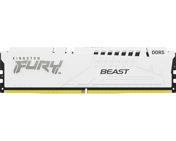 KINGSTON  DIMM DDR5 16GB 5600MT/s KF556C36BWE-16 Fury Beast White Expo 