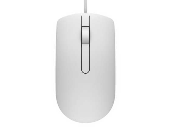 DELL MS116 USB Optical beli miš