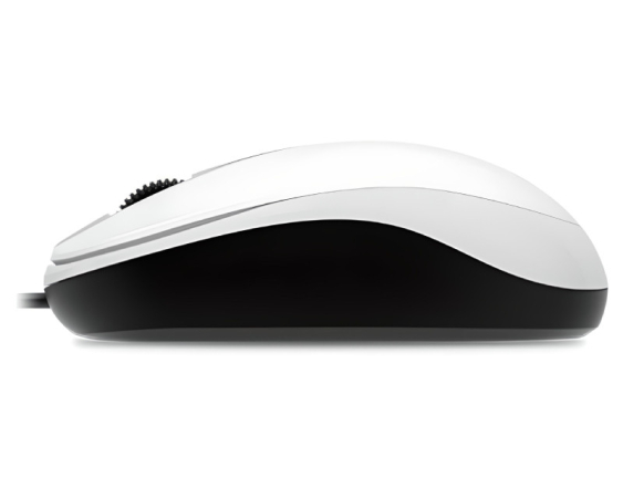 GENIUS DX-120 USB Optical beli miš 
