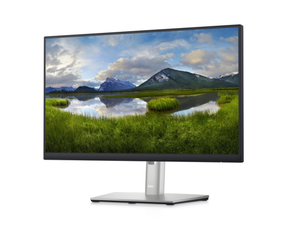 DELL 21.5" P2223HC USB-C Professional IPS monitor