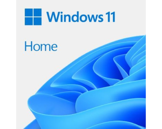 MICROSOFT  Windows Home 11 FPP 64-bit (HAJ-00089)