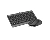 F1110 FSTYLER Compact USB US siva tastatura + USB sivi miš