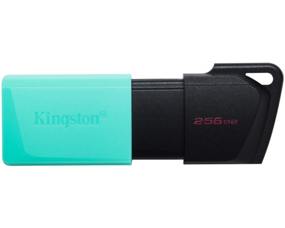 KINGSTON  256GB DataTraveler Exodia M USB 3.2 Gen1 DTXM/256GB 