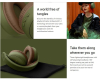 Headphones 2 Bluetooth Green slušalice zelene
