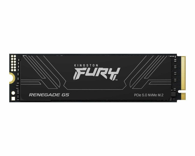 1TB M.2 NVMe SFYR2S/1T0 SSD FURY Renegade G5 SSD