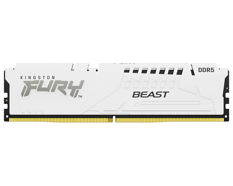 DIMM DDR5 32GB 6000MT/s KF560C36BWE-32 FURY Beast White EXPO 