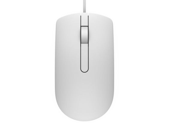 DELL  MS116 USB Optical beli miš 