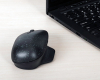 EcoSmart Ergonomic Wireless crni miš AMB586GL