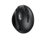 Ergo 8300S USB Wireless crni miš