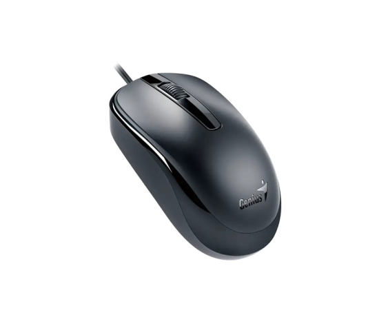 GENIUS  DX-120 USB-C Optical crni miš 