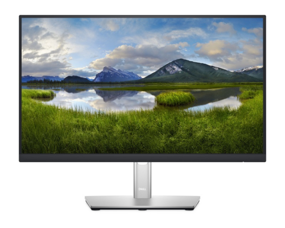 DELL 21.5" P2222H Professional IPS monitor