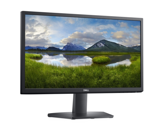 DELL  21.5 inch SE2222H monitor 