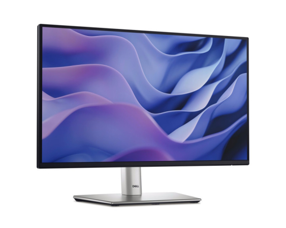 DELL  21.5 inch P2225H 100Hz Professional IPS monitor 