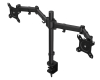 Atlas Double (Atlas 200) stoni nosač za monitore (EY8F003)