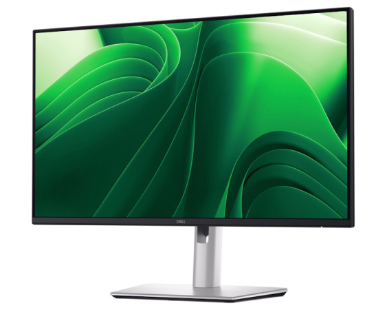 DELL  23.8 inch P2425D QHD 100Hz Pro Plus IPS monitor 