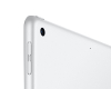 iPad 9th Gen 10.2 inch A13 WiFi 256GB Silver (fk2p3ll/a)