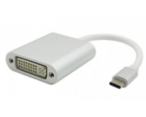 FAST ASIA  Adapter - konvertor USB 3.1 tip C (M) - DVI (F) srebrni 