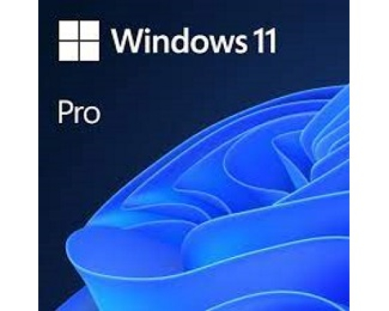 MICROSOFT  Windows 11 Pro 64bit Eng Intl OEM (FQC-10528) 