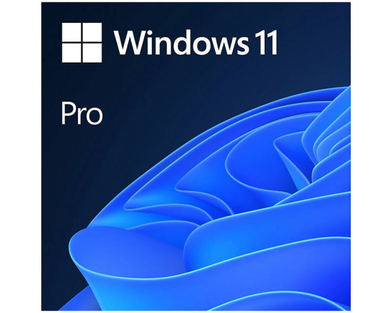 MICROSOFT  Windows 11 Pro FPP 64-bit (HAV-00164) 