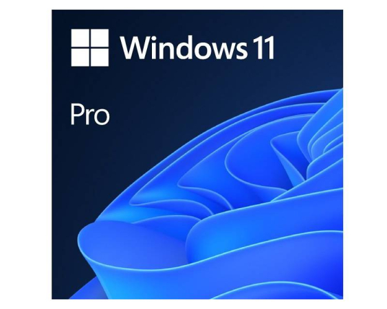 MICROSOFT  Windows 11 Pro 64bit GGK Eng Intl (4YR-00316) 