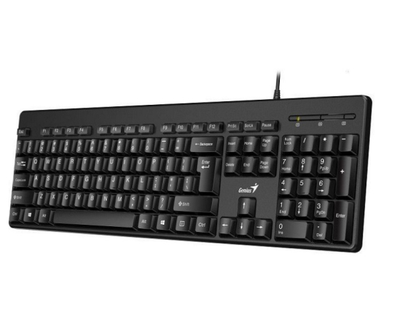 GENIUS KB-116 USB YU crna tastatura 
