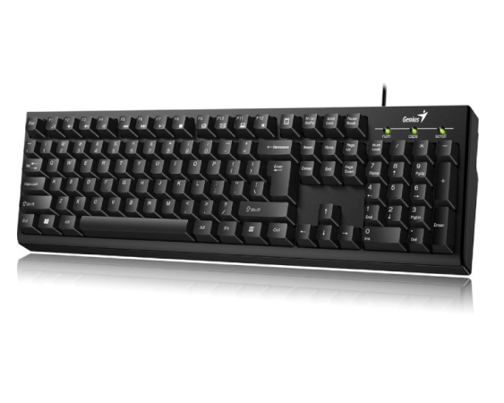 GENIUS  KB-100 USB US crna tastatura 