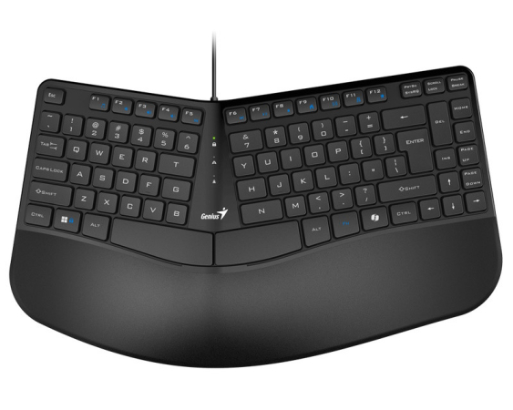 GENIUS  Ergo KB-700 USB US crna tastatura 