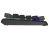 FS100 FSTYLER USB Neon Backlit US crna tastatura